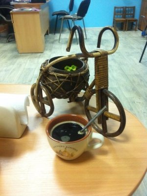 Солнечный Кот                             Россия ,                                                                            Щелково
                            ,                        