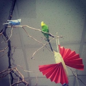 Ginda                             Россия ,                                                                            Москва
                            ,                        