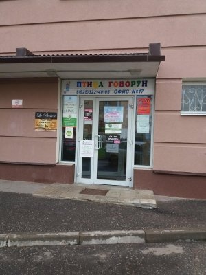 Птица говорун                             Россия ,                                                                            Раменское
                            ,                        