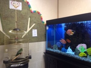 Развитие XXI век                             Россия ,                                                                            Москва
                            ,                        