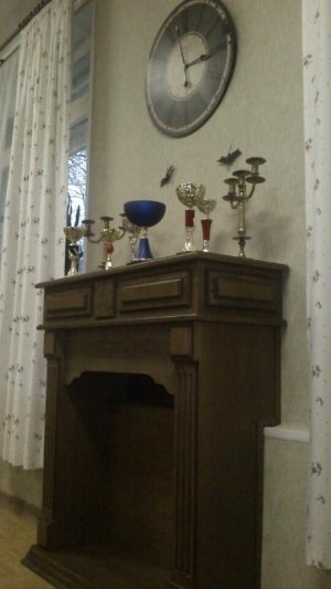 Школьная академия                             Россия ,                                                                            Москва
                            ,                        