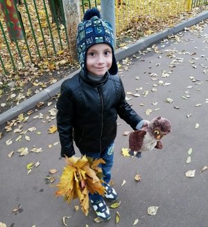 Академия маленьких наук                             Россия ,                                                                            Москва
                            ,                        