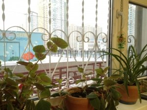 XXI век                             Россия ,                                                                            Москва
                            ,                        