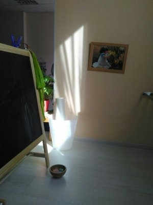 Семицветик                             Россия ,                                                                            Долгопрудный
                            ,                        