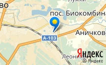 Оранжевое детство                             Россия ,                                                                            Щелково
                            ,                        