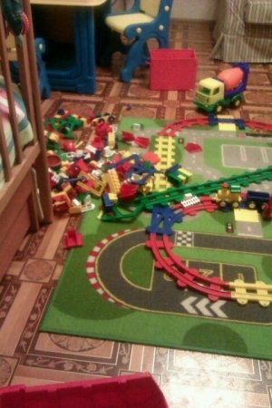 Домовенок                             Россия ,                                                                            Москва
                            ,                        