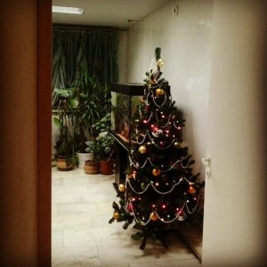 Детский сад №311. &laquo;Лукоморье&raquo;                             Россия ,                                                                            Москва
                            ,                        