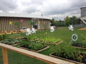 Зеленая школа                             Россия ,                                                                            Москва
                            ,                        