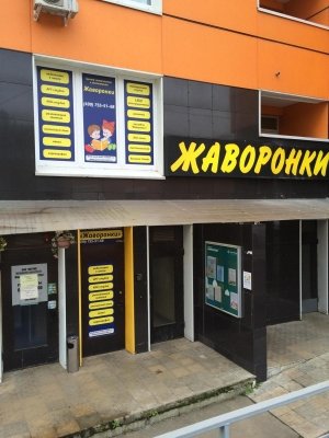 Жаворонки                             Россия ,                                                                            Видное
                            ,                        