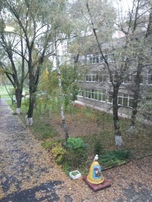 Средняя общеобразовательная школа №6                             Россия ,                                                                            Реутов
                            ,                        