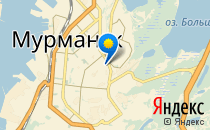 Два жирафа                             Россия ,                                                                            Мурманск
                            ,                        