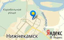 Женская консультация                             Россия ,                                                                            Нижнекамск
                            ,                        