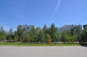 Детский сад №88. &laquo;Одуванчик&raquo;                             Россия ,                                                                            Нижневартовск
                            ,                        