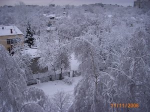 Детский сад №391                             Россия ,                                                                            Нижний Новгород
                            ,                        