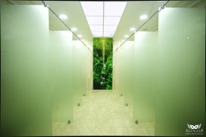 АртплазА                             Россия ,                                                                            Нижний Новгород
                            ,                        