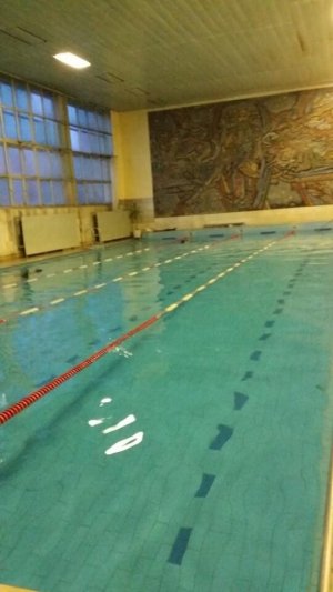 Олимп                             Россия ,                                                                            Нижний Новгород
                            ,                        