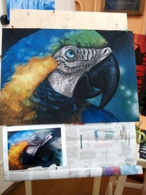 Пилигрим                             Россия ,                                                                            Новосибирск
                            ,                        