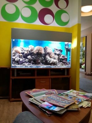 Дельфания                             Россия ,                                                                            Новосибирск
                            ,                        