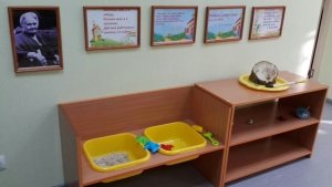 Бэби-академия                             Россия ,                                                                            Новосибирск
                            ,                        