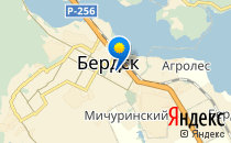 Smarty Kids                             Россия ,                                                                            Бердск
                            ,                        