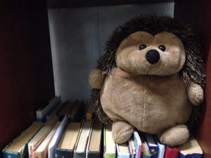 Творческая студия Екатерины Коньковой                             Украина ,                                                                            Одесса
                            ,                        