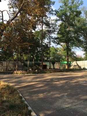 Лукоморье                             Украина ,                                                                            Одесса
                            ,                        