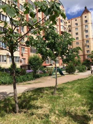 Игра                             Украина ,                                                                            Одесса
                            ,                        