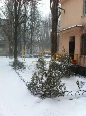 Светоч                             Украина ,                                                                            Одесса
                            ,                        