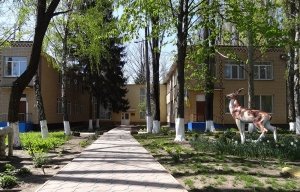 Детский сад-ясли №112                             Украина ,                                                                            Одесса
                            ,                        