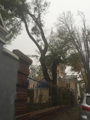 Детский сад-ясли №137                             Украина ,                                                                            Одесса
                            ,                        