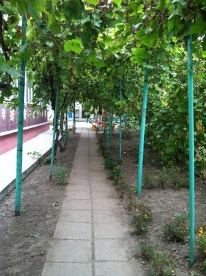 Детский сад-ясли №4                             Украина ,                                                                            Одесса
                            ,                        