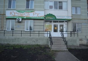 Крошка Ру                             Россия ,                                                                            Пенза
                            ,                        