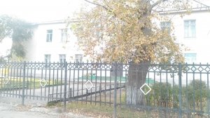 Средняя общеобразовательная школа №41                             Россия ,                                                                            Пенза
                            ,                        