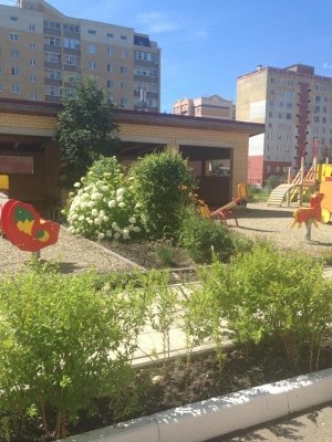 Детский сад №142                             Россия ,                                                                            Пенза
                            ,                        