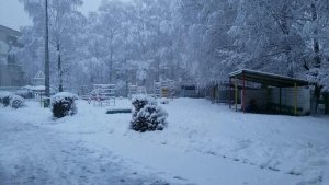 Детский сад №137                             Россия ,                                                                            Пенза
                            ,                        