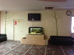 Гимназия №33                             Россия ,                                                                            Пермь
                            ,                        