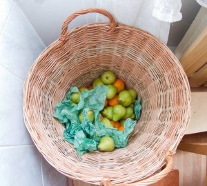 Апельсин                             Россия ,                                                                            Пермь
                            ,                        