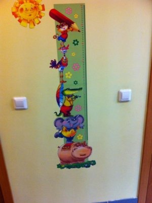 Совенок                             Россия ,                                                                            Петрозаводск
                            ,                        