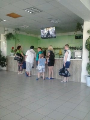 Дельфин                             Россия ,                                                                            Краснокамск
                            ,                        