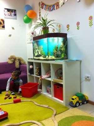 Супер Я                             Россия ,                                                                            Ростов-на-Дону
                            ,                        