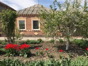 Детский сад №267                             Россия ,                                                                            Ростов-на-Дону
                            ,                        