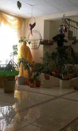 Детский сад №285                             Россия ,                                                                            Ростов-на-Дону
                            ,                        