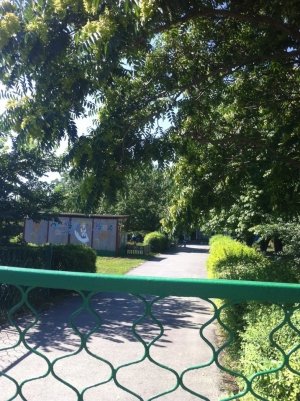 Детский сад №251                             Россия ,                                                                            Ростов-на-Дону
                            ,                        