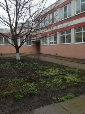 Детский сад №317                             Россия ,                                                                            Ростов-на-Дону
                            ,                        