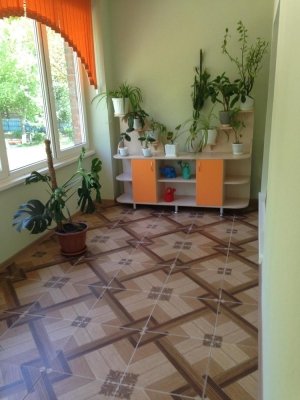 Детский сад №169                             Россия ,                                                                            Ростов-на-Дону
                            ,                        