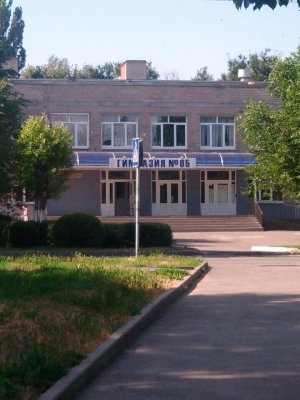 Гимназия №95                             Россия ,                                                                            Ростов-на-Дону
                            ,                        