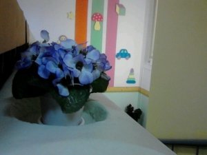 Детский сад №17. &laquo;Звёздочка&raquo;                             Россия ,                                                                            Рязань
                            ,                        