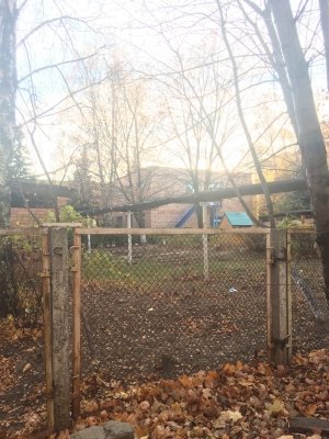 Детский сад №142. &laquo;Теремок&raquo;                             Россия ,                                                                            Рязань
                            ,                        