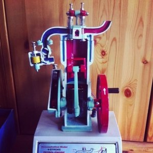 Самарская Вальдорфская школа                             Россия ,                                                                            Самара
                            ,                        