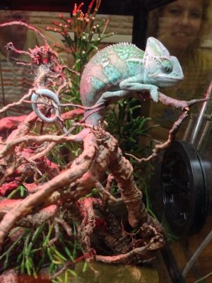 Крестовский остров                             Россия ,                                                                            Санкт-Петербург
                            ,                        